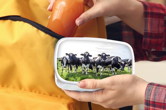 Boîte à pain Wit - Boîte à lunch - Boîte à pain - Vaches - Léger - Printemps - 18x12x6 cm - Adultes - Cadeau Sinterklaas - Distribution de cadeaux pour enfants - Cadeaux chaussures Sinterklaas