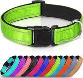 Halsband hond - reflecterend - groen - maat S - oersterk - waterdicht - hondenhalsband - geschikt voor iedere hondenriem - voor kleine honden