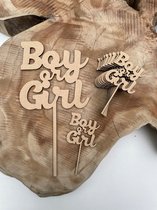 Boy or girl cupcake en taarttoppers - Gender reveal - Babyshower