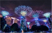 Supertree Grove in Singapore in neon verlichting - Foto op Forex - 120 x 80 cm