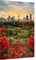 Zomers uitzicht op de skyline van Toronto met CN Tower - Foto op Plexiglas - 60 x 80 cm