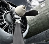 Vliegtuig propellor - Fotobehang (in banen) - 350 x 260 cm