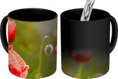 Magische Mok - Foto op Warmte Mok - Papavers bij een ondergaande zon - 350 ML