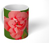 Mok - Bloeiende rode geranium bloem - 350 ML - Beker