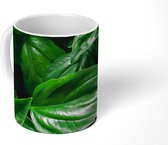 Mok - Close-up basilicumbladeren - 350 ML - Beker