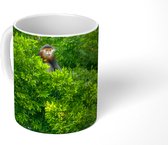 Mok - Roodscheendoek apen in de bomen van Vietnam - 350 ML - Beker