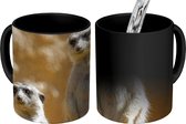 Magische Mok - Foto op Warmte Mokken - Koffiemok - Rots - Stokstaartjes - Dieren - Magic Mok - Beker - 350 ML - Theemok