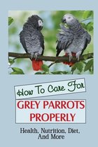 How To Care For Grey Parrots Properly