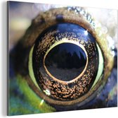 Décoration murale Métal - Peinture Aluminium Industriel - Grenouille - Oeil - 80x60 cm - Dibond - Photo sur aluminium - Décoration murale industrielle - Pour le salon/chambre