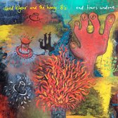 David Kilgour - End Times Undone (CD)
