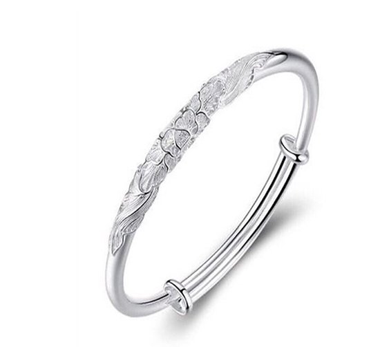 Gezond Reductor Oriëntatiepunt N3 Collecties 925 Sterling Zilveren Armband Voor Vrouwen Sieraden  Verstelbare Armbanden | bol.com
