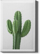 Walljar - Cactus - Muurdecoratie - Canvas schilderij