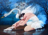 Diamond Painting Pakket - Ballerina en Zwaan - 40x30 cm - Complete Set - Volledige Bedekking - Ronde Steentjes
