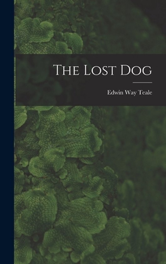 The Lost Dog - cover