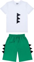 Gami Jongens t-shirts/shorts set 110 Groen
