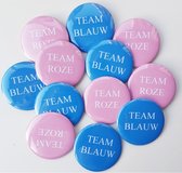12 gender reveal buttons met 6x Team Blauw en 6x Team Roze - gender reveal - babyshower - baby - zwanger button -