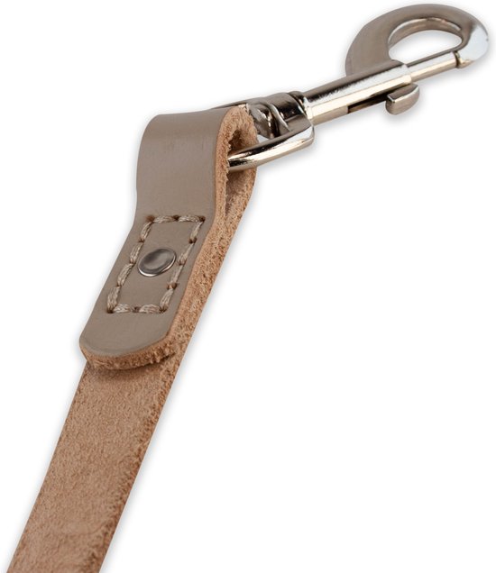 Zilverkleurige clip en detail van de stiksels op een lichtgrijze leren hondenriem.