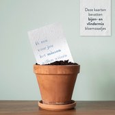 Plant-je Rouw – EERLIJK - Condoleance wenskaarten om te planten – 4 groeikaarten – Bijen-Vlindermix