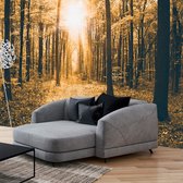 Zelfklevend fotobehang -  Magisch Zonlicht in een bos  , Premium Print