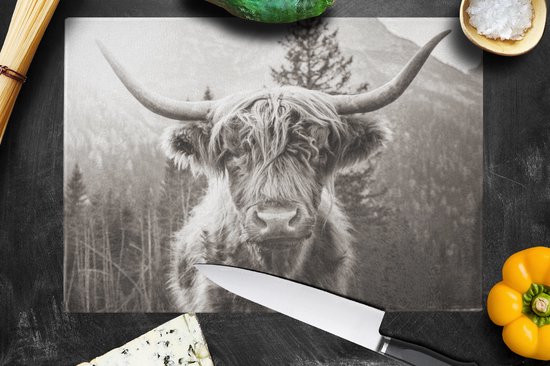 Planche à découper en Verres - 39x28 - Highlander écossais - Zwart - Wit - Planches à découper en Glas