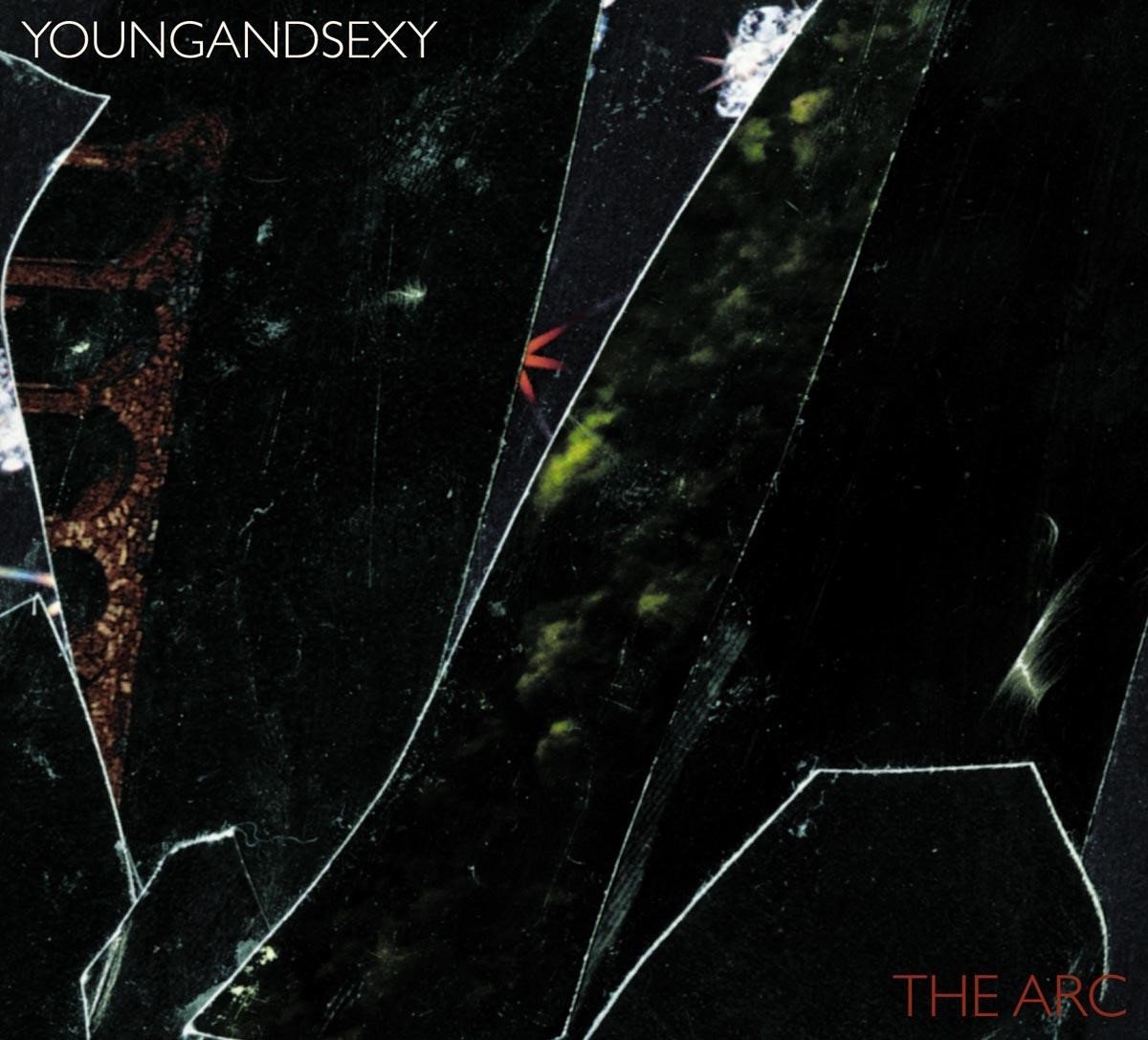 Young And Sexy - The Arc (+Dd) (LP)