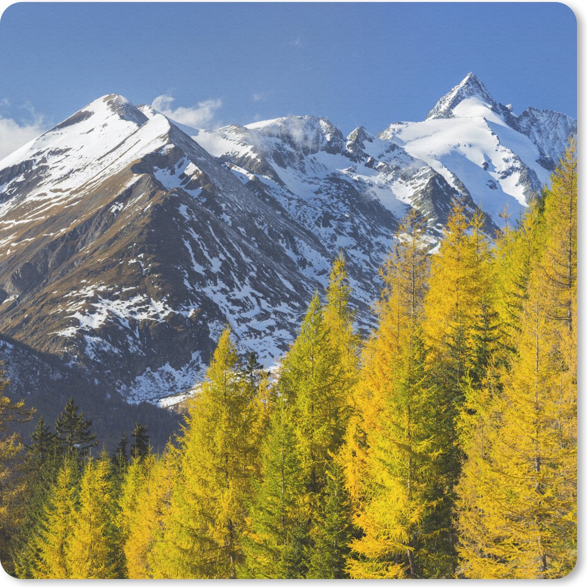 Muismat 30x30 cm - Mousepad Bomen voor de Großglockner berg in Oostenrijk - Muismatten