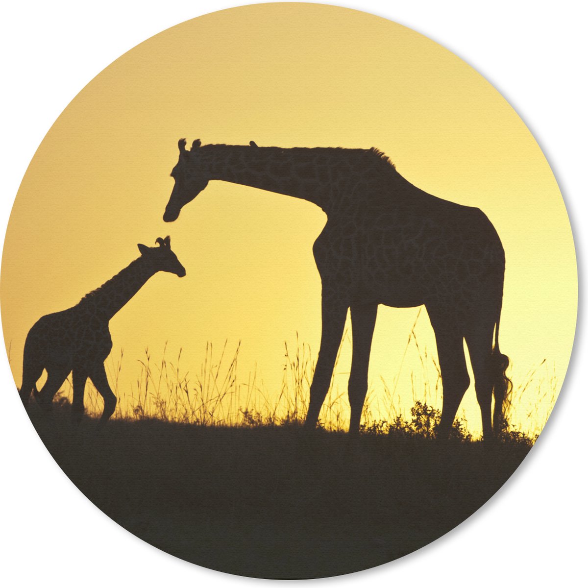 Muismat rond 20x20 cm - Mousepad Giraffe - Silhouet - Kalf - Ronde muismatten