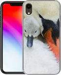 PDP.ProductImage.Thumb.Image.srtText 7