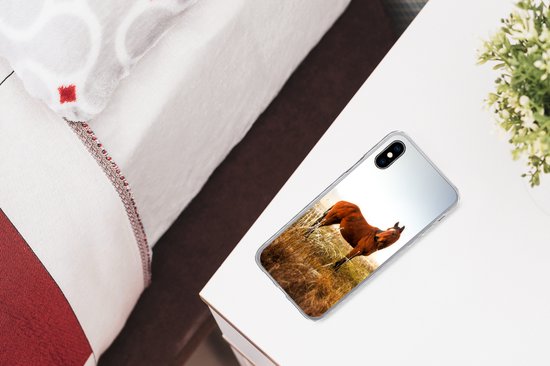 Coque iPhone X - Cheval - Pâturage - Australie - Coque de téléphone en Siliconen