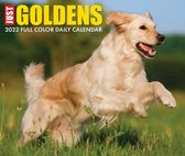 Golden Retriever Kalender 2022 Boxed