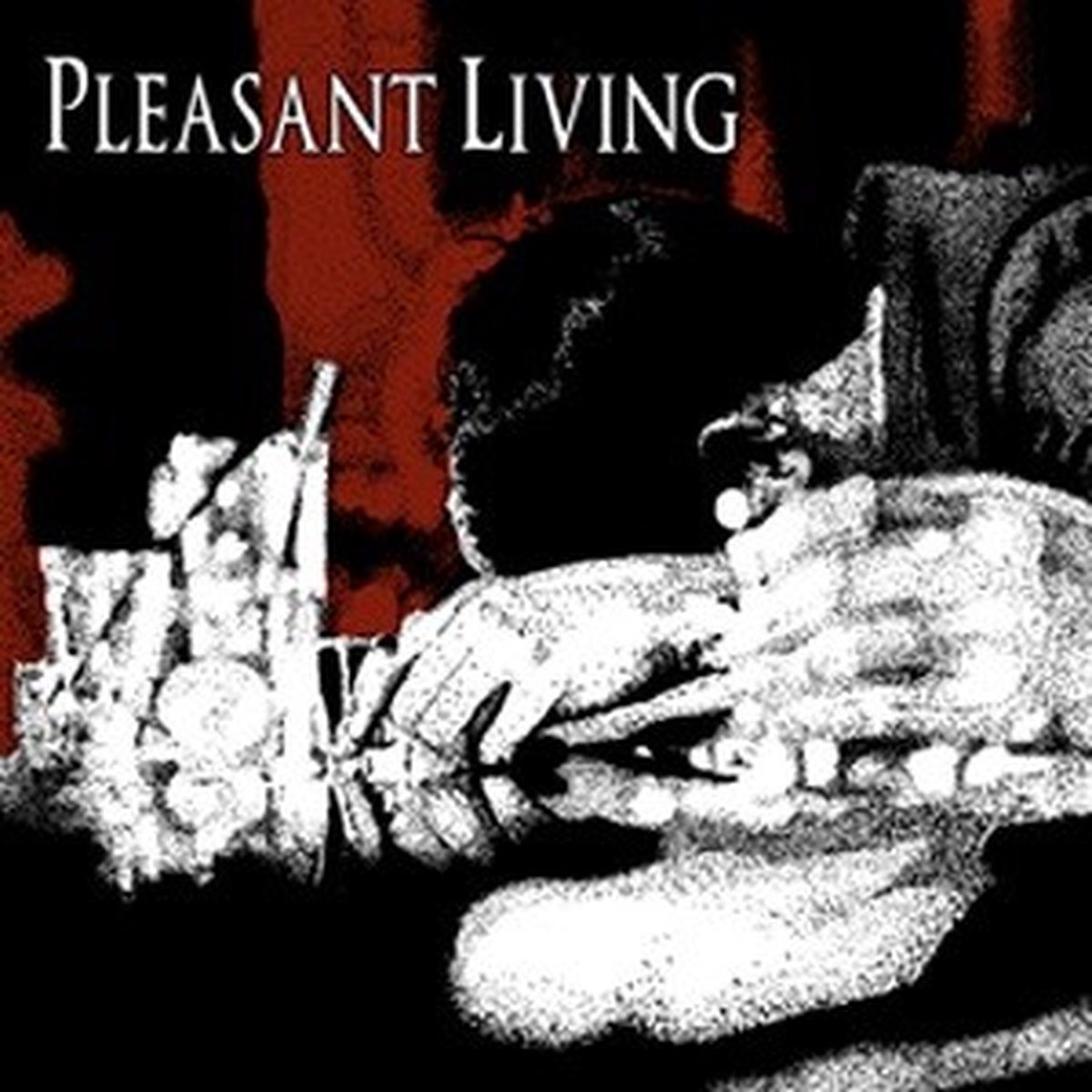 Pleasant Living - Pleasant Living (7" Single)