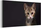 Décoration murale Métal - Peinture Aluminium Industriel - Chat - Zwart - Portrait - 160x80 cm - Dibond - Photo sur aluminium - Décoration murale industrielle - Pour le salon/chambre