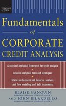 Fundamentals Corporate Credit Analysis