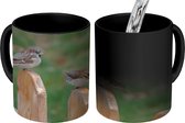 Magische Mok - Foto op Warmte Mok - Twee mussen zitten samen op een houten hek - 350 ML