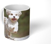 Mok - Een Shih Tzu hond huppelt door het gele zand - 350 ML - Beker