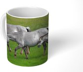 Mok - Koffiemok - Paarden - Dieren - Gras - Mokken - 350 ML - Beker - Koffiemokken - Theemok