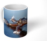 Mok - Koffiemok - Kikker - Water - Bevroren - Mokken - 350 ML - Beker - Koffiemokken - Theemok