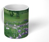 Mok - Japanse irisbloemen - Pad - Gras - 350 ML - Beker