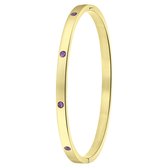 Lucardi Dames Goldplated armband bangle geboortestenen - Staal - Armband - Cadeau - Stijlvol - Goudkleurig