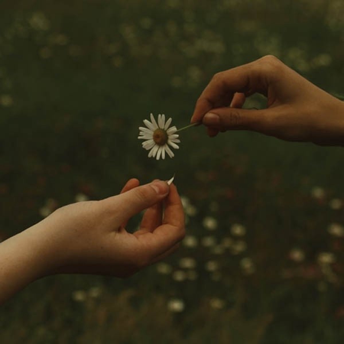 Goldmund - The Time It Takes (CD)