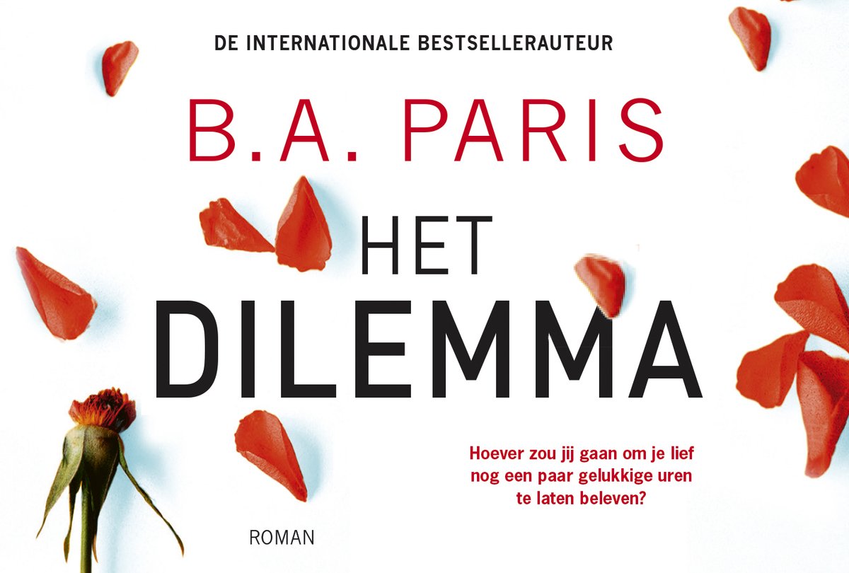 Omslag van Het dilemma