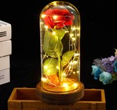 Home & Garden - Beauty and The Beast Roos - Rood - Roos - glas - Rode Roos in Glas met LED - LED lamp