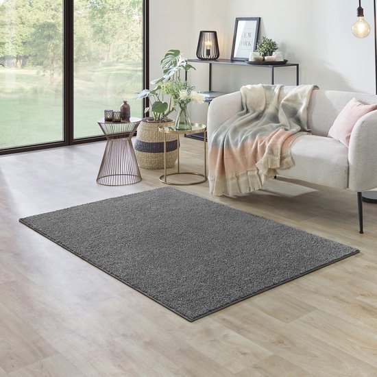 Carpet Studio Ohio Vloerkleed 115x170cm - Laagpolig Tapijt Woonkamer - Tapijt Slaapkamer - Kleed Grijs