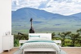 Behang - Fotobehang Giraffen tussen de bomen in de Ngorongoro krater - Breedte 360 cm x hoogte 240 cm