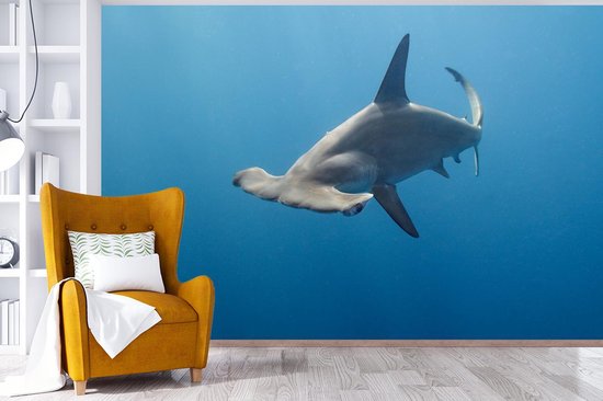 Papier peint - Papier peint photo murale Requin marteau - Largeur 330 cm x hauteur 220 cm