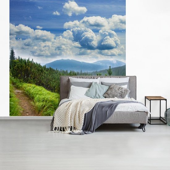 Papier peint - Papiers Papier peint photo Forêt - Chemin - Berg - Largeur 220 cm x Hauteur 220 cm