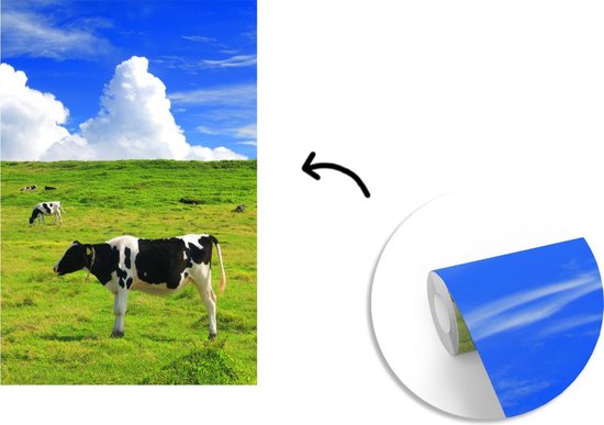 Veaux Zwart et blancs paissant dans la prairie 155x240 cm