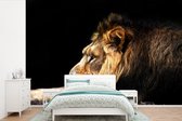 Papier peint Papier peint photo Lion - nieuw - Représentation en forme de dessin du fotobehang lion en vinyle largeur 360 cm x hauteur 240 cm - Impression photo sur papier peint vinyle (disponible en 7 tailles) - chambre/salon/bureau
