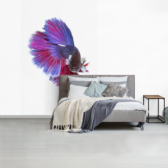 Papier Peint - Papiers Papier peint photo Poissons - Animaux aquatiques Marines - Staart - Largeur 170 cm x Hauteur 260 cm