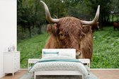 Behang - Fotobehang Schotse Hooglander - Dieren - Gras - Breedte 450 cm x hoogte 300 cm